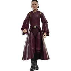 Hasbro Star Wars Black Series Padme Amidala G0025