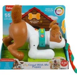 Juguete para Bebés Fisher-Price Cachorro Gatea con el Bebé