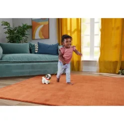 Juguetes para Bebés Fisher-Price Pug Pasea Conmigo
