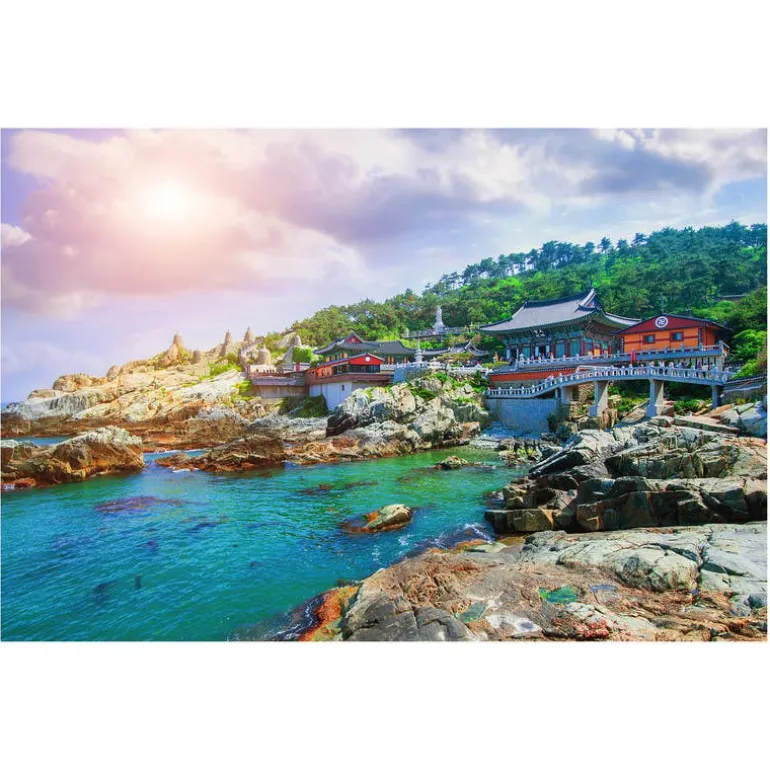 Rompecabezas Corea del Sur de 1000 Piezas