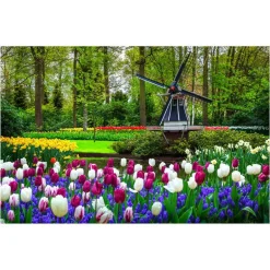 Rompecabezas Jardín Botánico Keukenhof, Holanda de 1500 Piezas